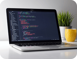 Custom Web Development & SaaS Platforms